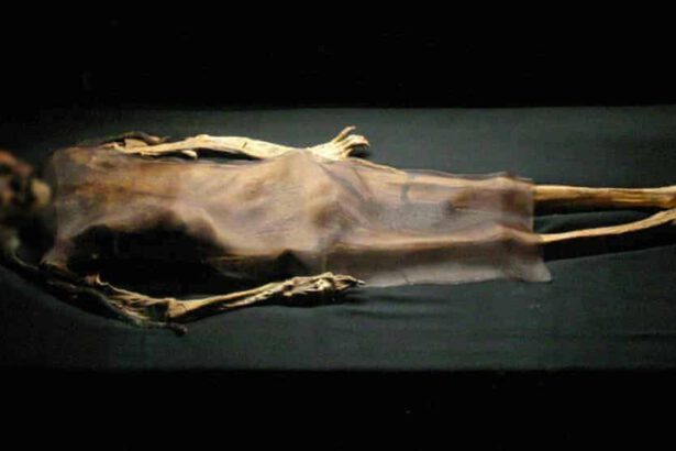 Perù: gli archeologi scoprono una mummia di 800 anni 13