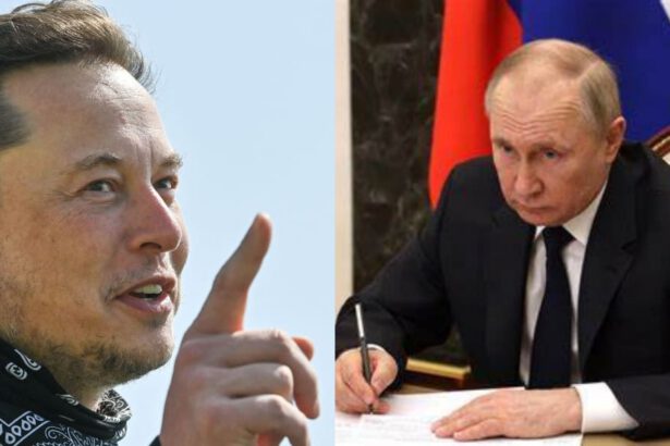 Elon Musk contro Vladimir Putin: "Sfidiamoci nelle arti marziali per l'Ucraina" 15