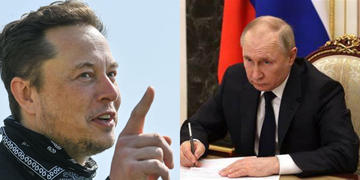 Elon Musk contro Vladimir Putin: "Sfidiamoci nelle arti marziali per l'Ucraina" 15