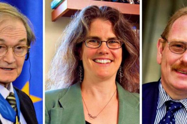 Il Nobel per la Fisica premia le scoperte su buchi neri e galassia. Ecco i tre vincitori 18