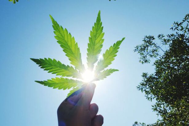 La rivoluzione della Canapa continua e a Roma ci pensa Hemp Act 15