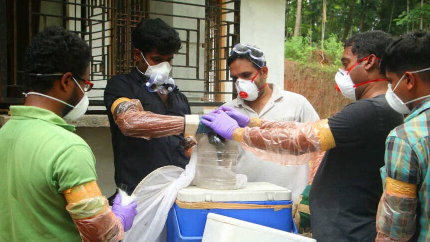 In India dilaga un nuovo virus: oltre 500 contagiati e un morto. Non è Covid 1