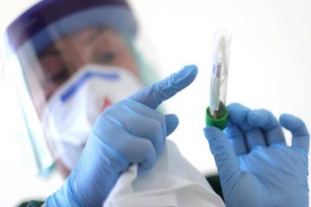 Coronavirus, dall'Olanda il farmaco per sconfiggerlo 16