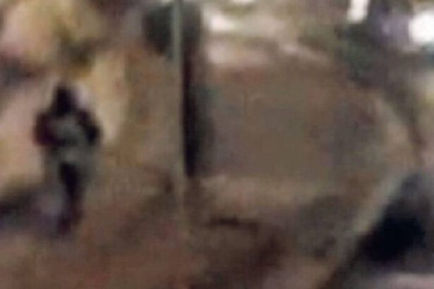 Omicidio Lecce: arrestato il presunto assassino di Daniele e Eleonora 18