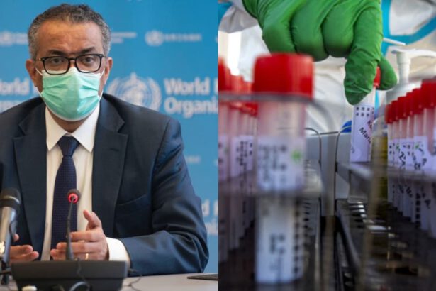 Ucraina, OMS consiglia chiusura dei laboratori sanitari: "Rischio fuga virus" 15