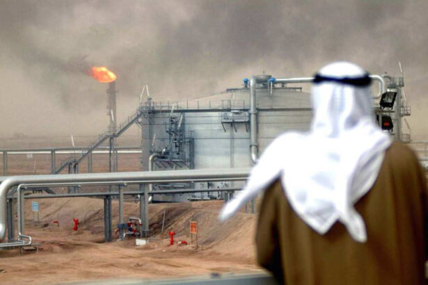 Greenpeace, rapporto sul clima delle Nazioni Unite: "Pressione da alcuni paesi per falsare dati su emissioni" 17