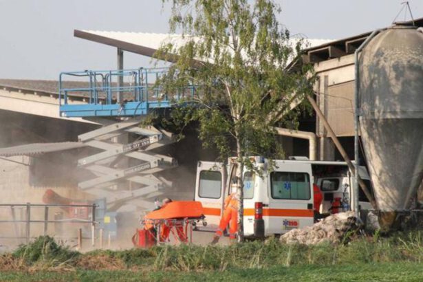 Parma, operaio 20enne schiacciato da un macchinario: morto sul colpo 26