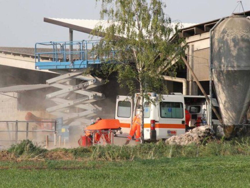 Parma, operaio 20enne schiacciato da un macchinario: morto sul colpo 1