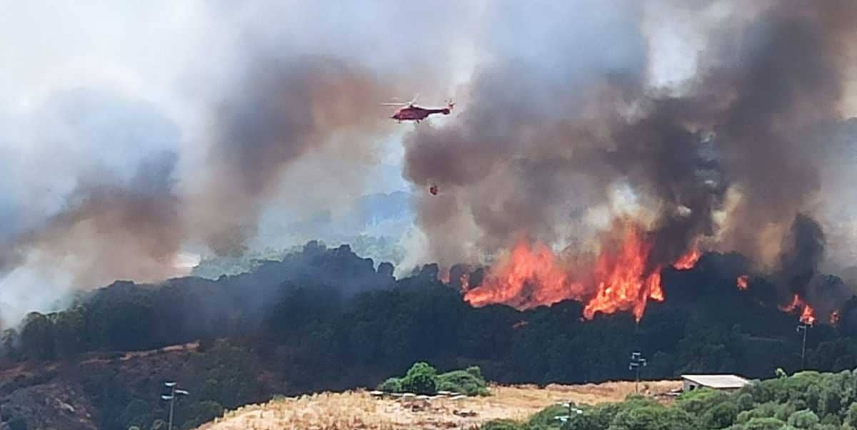 Incendio in Sardegna: la disperazione delle persone e la devastazione di un ecosistema 3