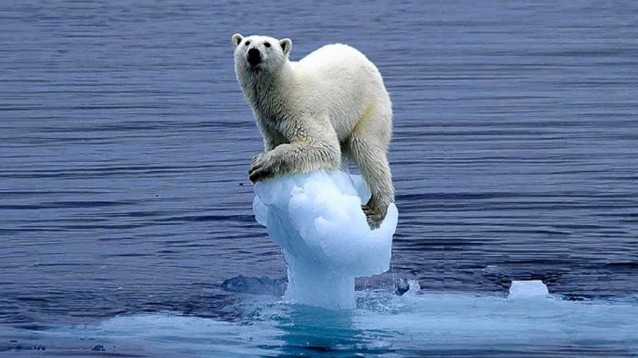 Senza rispetto per gli animali non avremo un futuro 1