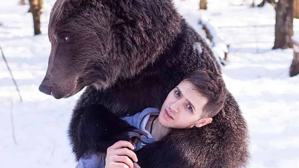 Orso sbrana un aspirante domatore al circo: “Indossava mascherina, non l’ha riconosciuto” 3 orso sbrana domatore