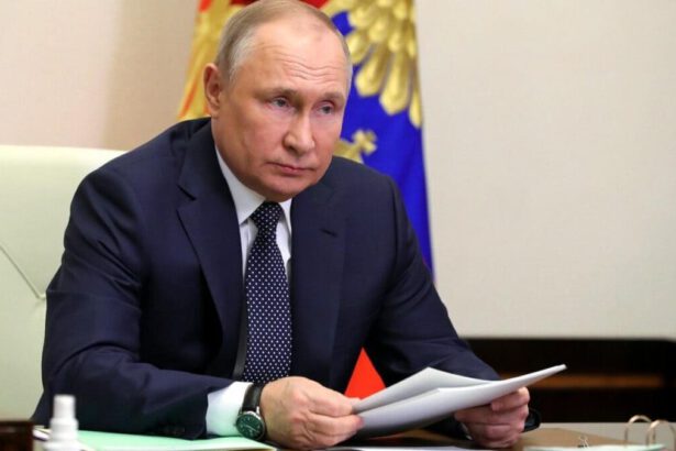 Pagare il gas in rubli: Putin firma il decreto. Quale la risposta dei paesi occidentali? 11
