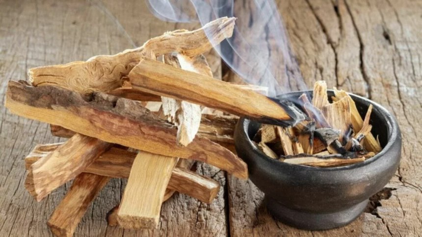 Palo Santo, proprietà e usi del sacro albero dalla storia millenaria 2 Palo Santo, proprietà e usi del sacro albero dalla storia millenaria 1