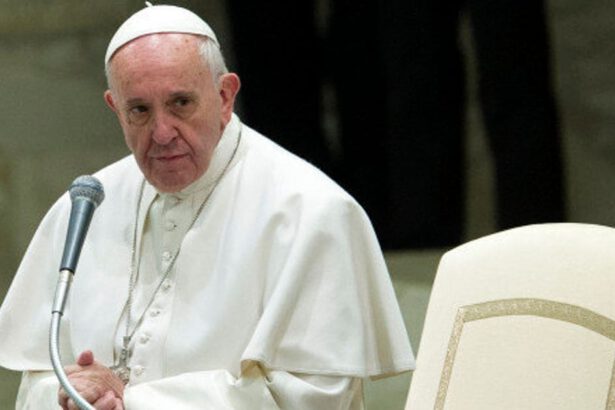 Papa Francesco, sì alle unioni civili: "Le persone omosessuali hanno diritto a una famiglia" 19