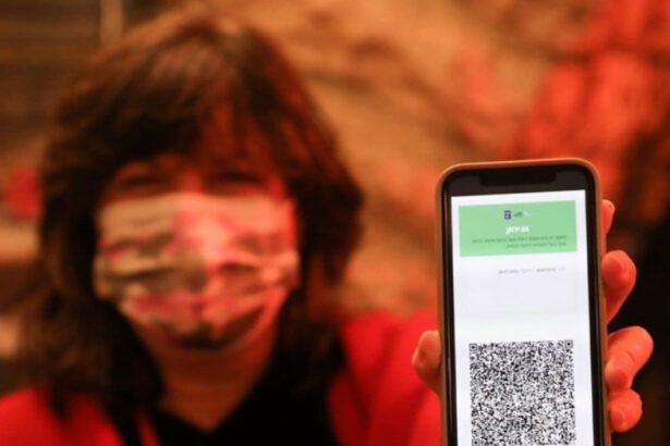 Covid, la Cina è la prima al mondo ad adottare il passaporto vaccinale 17