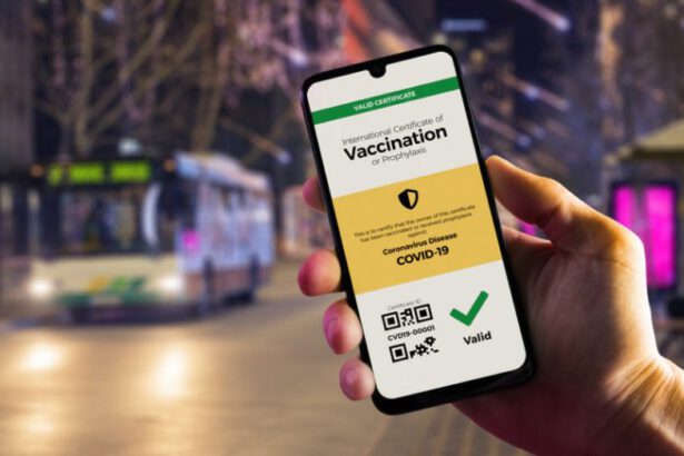 Arriva il passaporto vaccinale: ecco cosa ci permetterà di fare 23