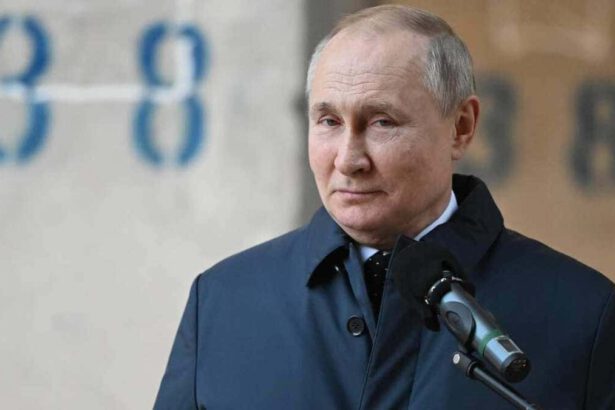 Patrimonio segreto di Putin: esiste davvero e dove è nascosto 14