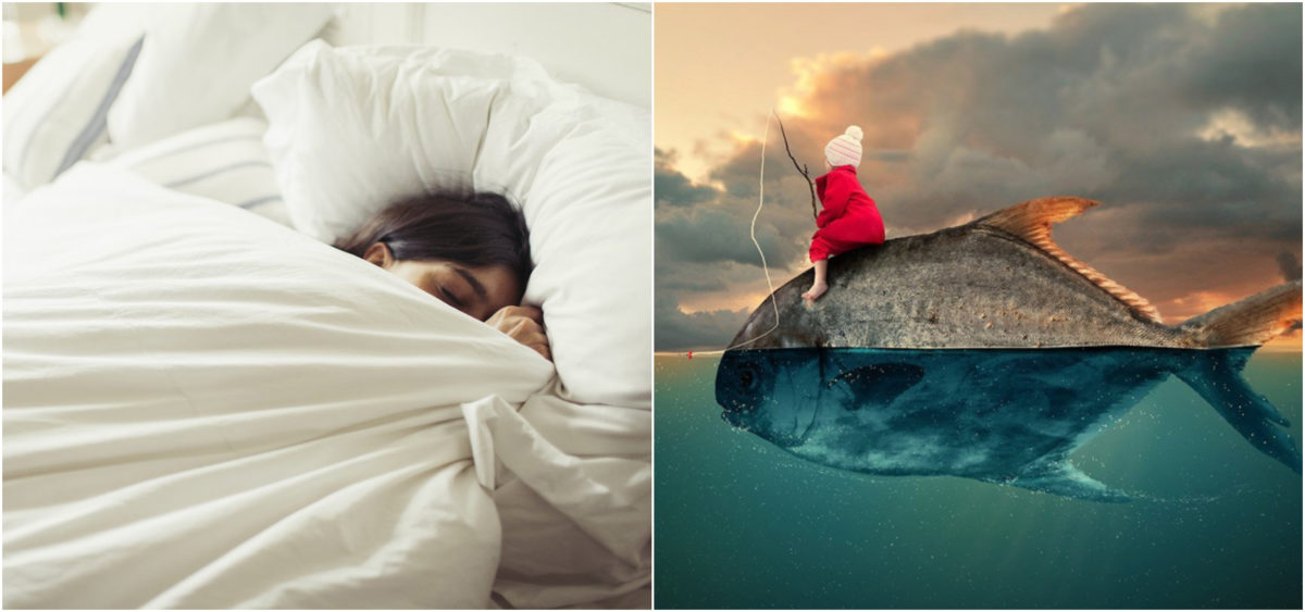 Dormire è più importante di quanto pensi. A cosa serve sognare? 1