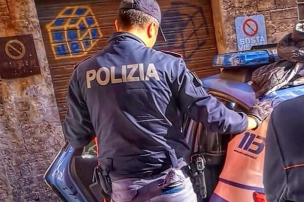 "Mia figlia non risponde al citofono": donna trovata senza vita con accanto i cani 4