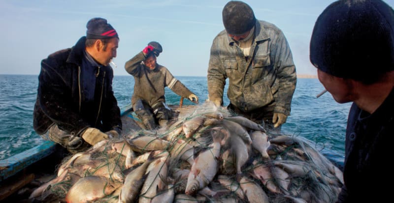 Lago d’Aral, la rinascita di un tesoro quasi scomparso 8
