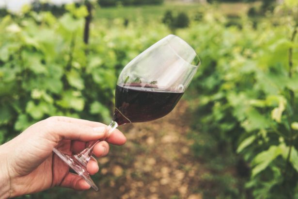 Strade del vino in Italia, le 4 location più belle dove andare nel 2021 15