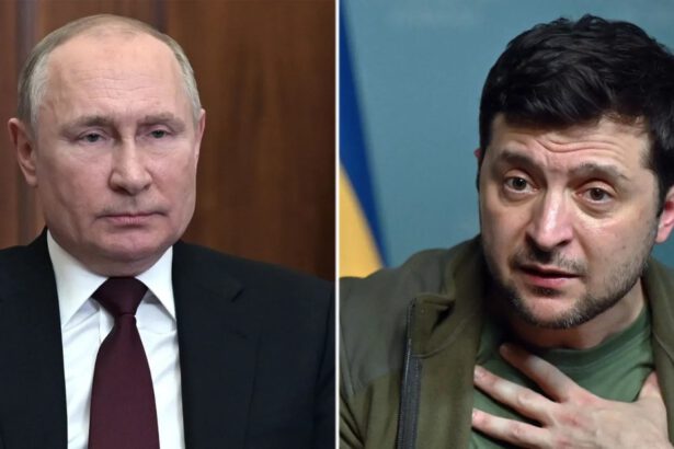 Russia e Ucraina pronte al compromesso? La neutralità e il piano di pace in 15 punti 7