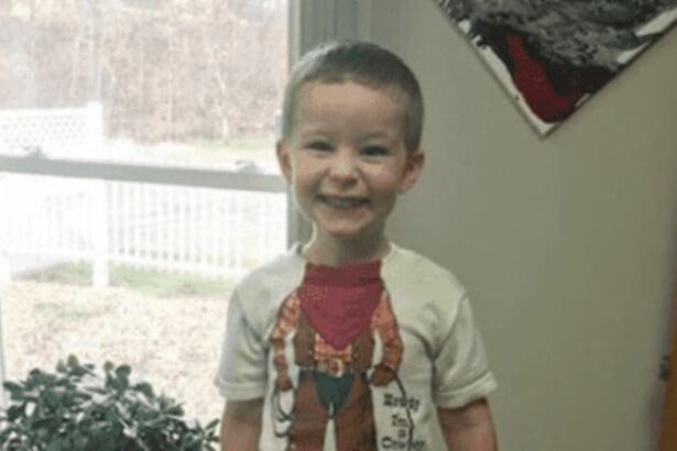 Abbandoo figlio e cane al cimitero e scappano, la storia del piccolo Tony, 3 anni 15