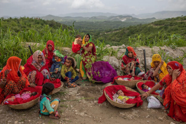 Piplantri, il villaggio indiano dove si piantano alberi ogni volta che nasce una bambina 11