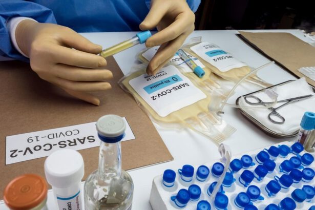 Covid-19, rapporto Aifa/Iss: "Plasma iperimmune non è efficace su pazienti gravi" 17