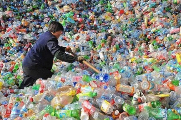 Plastica, i traffici illeciti dell’Italia. Ecco dove finiscono i nostri rifiuti 6