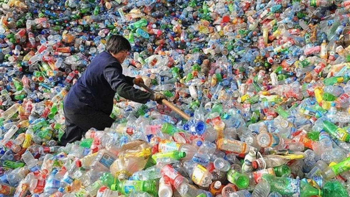 Plastica, i traffici illeciti dell’Italia. Ecco dove finiscono i nostri rifiuti 17