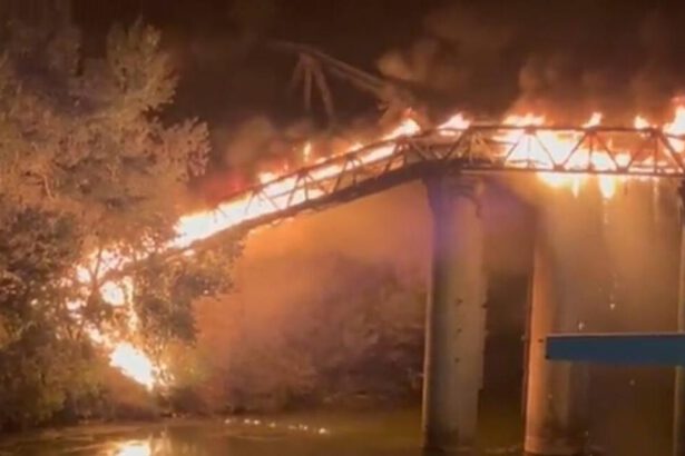 Storia del Ponte dell'Industria, crollato per l'incendio: "Già denunciati baracche e degrado" 15