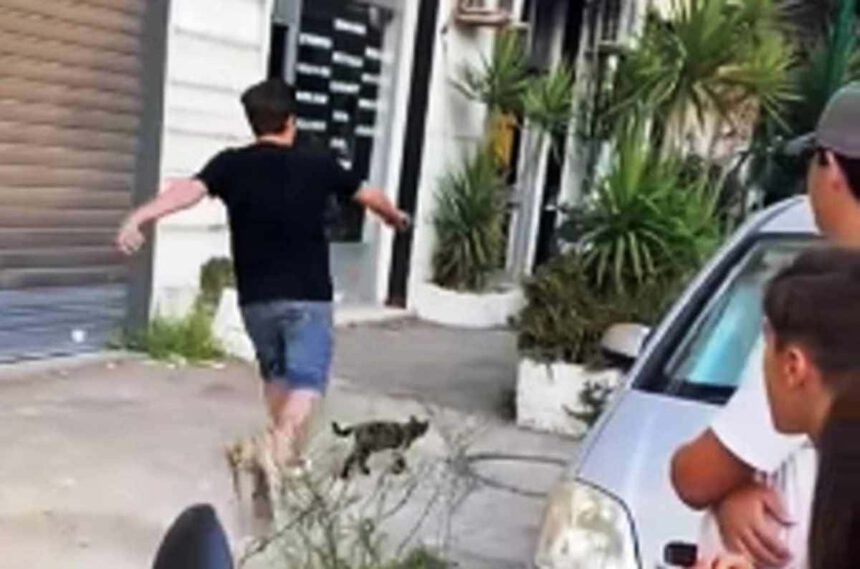 Ragazzino per strada prende a calci un gatto e pubblica il video su TikTok 1