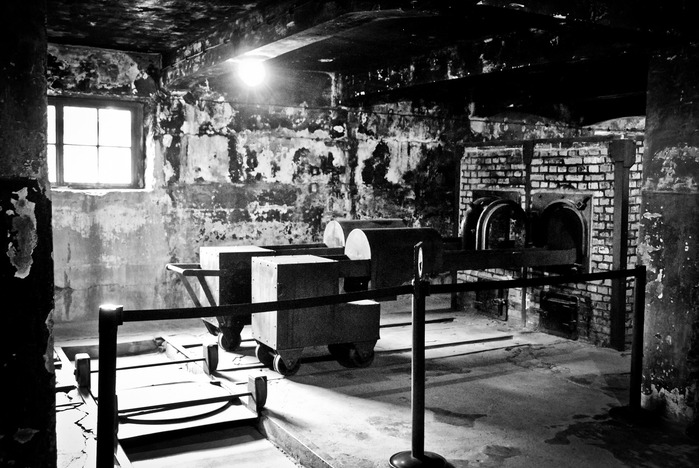 Perché gli oppressi diventano oppressori? La riflessione di Primo Levi 4