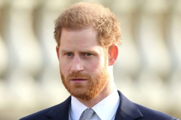 Il principe Harry: "Avevo avvertito dell'organizzazione dell'attacco al Congresso" 6