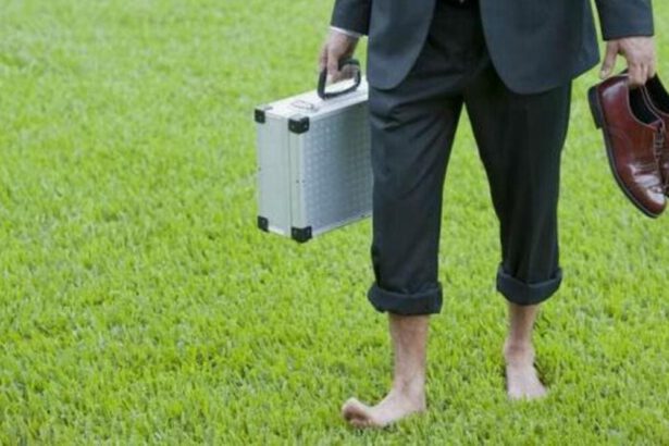 Cerchi lavoro? Ecco le professioni green del futuro 21