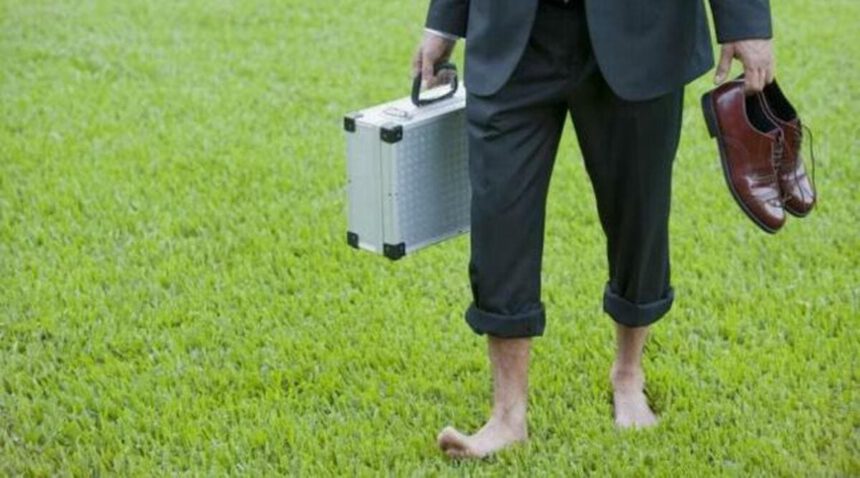 Cerchi lavoro? Ecco le professioni green del futuro 2 Cerchi lavoro? Ecco le professioni green del futuro 1