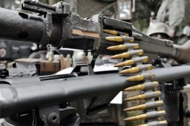 La denuncia di Weapon Watch: "Le armi israeliane passano dai porti italiani" 11