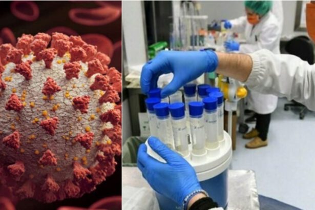 L'allarme degli scienziati: "La prossima variante potrebbe essere più letale di Omicron" 18