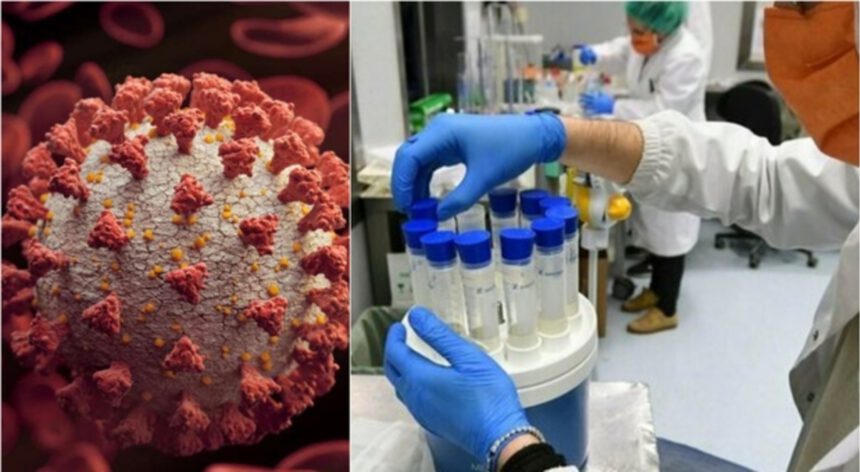 L'allarme degli scienziati: "La prossima variante potrebbe essere più letale di Omicron" 1