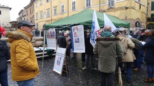 Viterbese, in 350mila senza acqua potabile per eccesso di arsenico: "Acqua amara", l'inchiesta shock 6 Viterbese, in 350mila senza acqua potabile per eccesso di arsenico: "Acqua amara", l'inchiesta shock 5