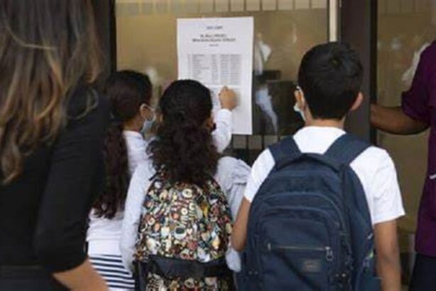 Francia: sciopero insegti contro la gestione Covid della scuola 14