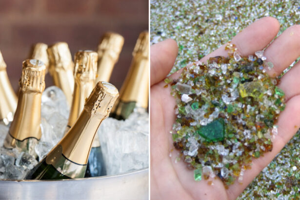 Dopo il brindisi, ricicla: consigli per un Capodanno green 13