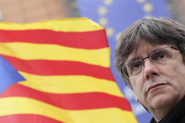 Puigdemont, ex presidente catalano, torna libero dopo l'arresto. Salvini: "Italia non si presti a vendette" 10