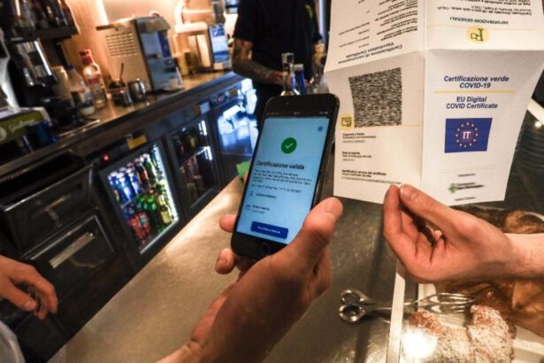 Quando sarà tolto l'obbligo di Green Pass? Dietrofront della Lega: ora vuole tamponi gratuiti 7