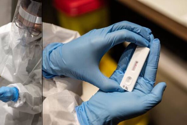 Quanto costano i tamponi all'estero? Le differenze di prezzo con l'Italia 14