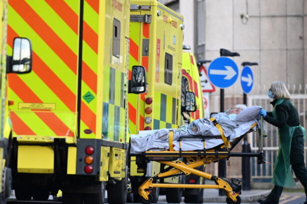 Covid in Germania, anestesisti: "Sistema sanitario verso la catastrofe". In Alta Austria morti in corridoio 6