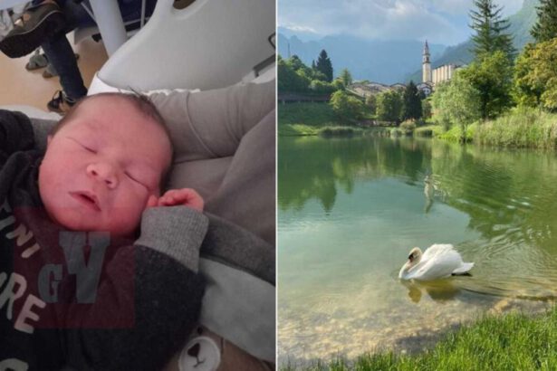 Dopo 4 anni, nel Comune più piccolo del Veneto è nato un bimbo, Niccolò: "La vita è tornata" 10