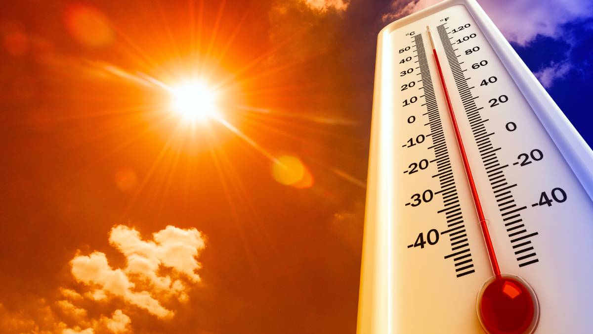 Allarme clima: 1 persona su 3 soffrirà le temperature del Sahara 19