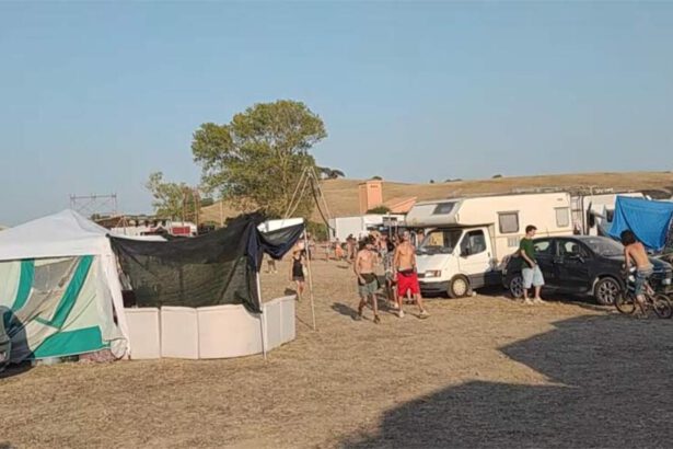 Dietro il rave organizzatori francesi: "Qui non puniti". "Ketamina 5 euro, Lsd 10": il mercatino nel rave di Viterbo 7